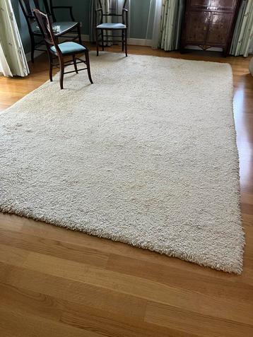 Groot Berber Kleed Handgeknoopt 480x380 beschikbaar voor biedingen