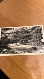 Norg. Oosterduinen, Ophalen of Verzenden, 1920 tot 1940, Gelopen, Drenthe