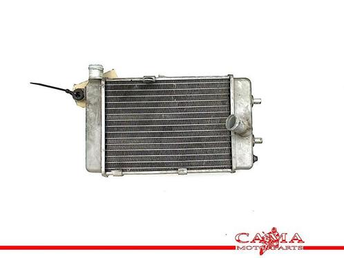 RADIATEUR Aprilia RSV 1000 (R) Mille 1998-2003 (RSV1000), Motoren, Onderdelen | Overige, Gebruikt