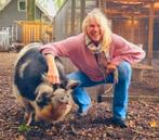 Gezocht klein boerderijtje of helft boerderij Drenthe