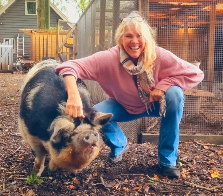 Gezocht klein boerderijtje of helft boerderij Drenthe, Huizen en Kamers, Op zoek naar een huis