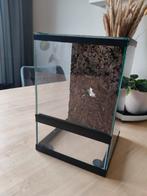 Terrarium 20x20x30 inclusief achterwand, Dieren en Toebehoren, Reptielen en Amfibieën | Toebehoren, Ophalen, Zo goed als nieuw