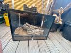 Terrarium, Ophalen, Zo goed als nieuw, Terrarium of Paludarium