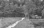 964533	Breda	Kogelvanger Mastbosch	1957	Gelopen met postzege, Ophalen of Verzenden, 1940 tot 1960, Gelopen, Noord-Brabant