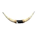 Bullbar Texas Longhorn met leer, Ophalen of Verzenden, Nieuw, Boerderijdier, Gewei of Kop