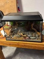 Terrarium, Dieren en Toebehoren, Reptielen en Amfibieën | Toebehoren, Ophalen, Gebruikt, Terrarium of Paludarium