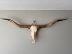 Mooie echte longhorn schedel 2 m breed!, Zo goed als nieuw, Ophalen