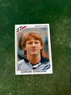 Panini plaatje Gordon Strachan Schotland WK 1986, Ophalen of Verzenden