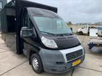 Fiat Fiat Ducato 2007, Auto's, Bestelauto's, Te koop, 4 cilinders, Geïmporteerd, Diesel