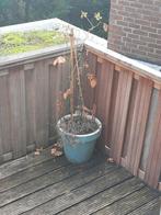 Grote bloempot lichtblauw, Tuin en Terras, Ophalen, Gebruikt, Rond