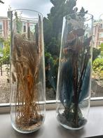 Glazen decoratie vaas / vazen 65 CM met inhoud / Ikea, Ophalen, Zo goed als nieuw