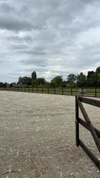 **Paardrij Instructie aan huis* | Dressuur, Bixie, grondwerk, Paardrijles of Ponykampen