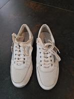 Medicus sneakers, Ophalen of Verzenden, Zo goed als nieuw, Sneakers of Gympen
