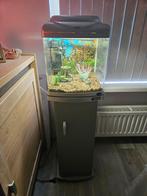 Superfish aqua40, Ophalen, Gebruikt, Leeg aquarium