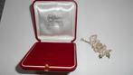 Zilveren broche van de juwelier., Ophalen of Verzenden, Nieuw, Zilver, Zilver