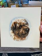 Wandtegel Border Terriër 15x15 cm, Ophalen of Verzenden