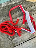 Rood kerst halster pony inc rood halster touw, Dieren en Toebehoren, Ophalen of Verzenden, Zo goed als nieuw, Overige soorten