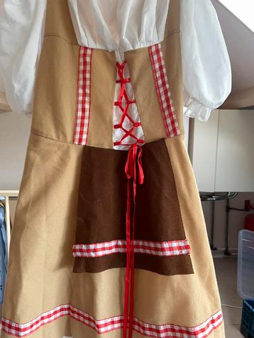 Oktoberfest Suede Dirndl maat M/L beschikbaar voor biedingen