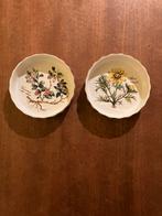 Villeroy & Boch 2 oven schaaltjes Botanica serie perfect, Ophalen of Verzenden, Overige stijlen, Porselein, Schaal of Schalen