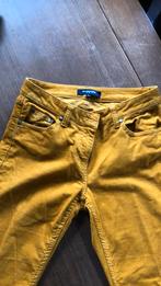 Okergele ribbroek mc gregor, Kleding | Dames, Broeken en Pantalons, Geel, Ophalen of Verzenden, Zo goed als nieuw, Maat 34 (XS) of kleiner