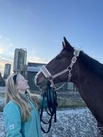 Verzorg/bijrijdpaard gezocht omgeving Zeist!, Dieren en Toebehoren, Ophalen of Verzenden