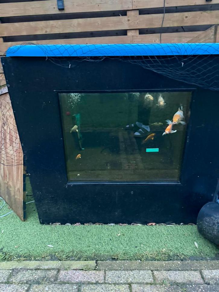 Koi opgroei bak met raam, Tuin en Terras, Vijvers, Zo goed als nieuw, Ophalen
