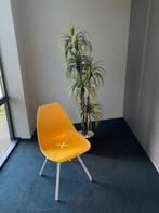 Kantinestoel, Ophalen, Nieuw, Wit, Eén