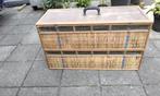 Duivenmand, Meerdere dieren, Postduif
