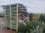 kerstboom Nordmann, Ophalen, Nieuw