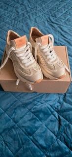 Fred de la bretoniere sneakers maat 39 nieuw, Ophalen of Verzenden, Nieuw, Sneakers of Gympen