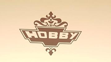 Logo Hobby 600 stickers  beschikbaar voor biedingen