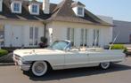 Cadillac 1962, Auto's, Oldtimers, Achterwielaandrijving, Beige, Cabriolet, Beige