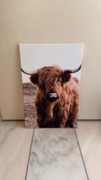 Canvas schilderij schotse hooglander 40x60 (nieuw), Ophalen, Zo goed als nieuw, Schilderij