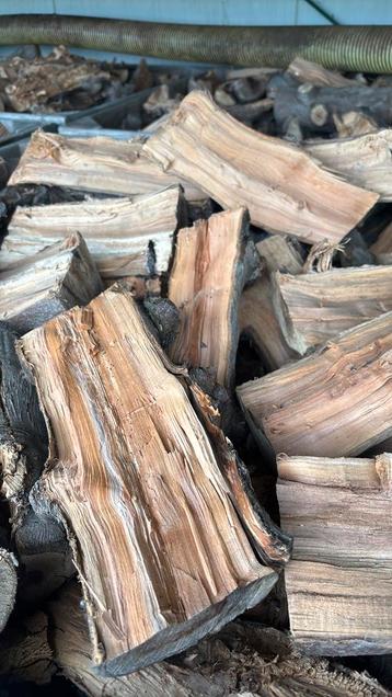 Openhaardhout Appelbomen beschikbaar voor biedingen