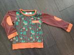 Trui 4funkyflavours maat 86, Gebruikt, Truitje of Vestje, Ophalen of Verzenden, 4 funky flavours