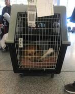 Dog cage used twice, Dieren en Toebehoren, Ophalen, Zo goed als nieuw