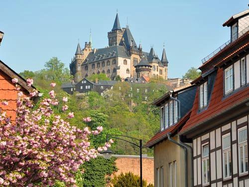 6 dagen relaxen in natuurgebied de Harz, Tickets en Kaartjes, Hotelbonnen, Twee personen, 3 overnachtingen of meer