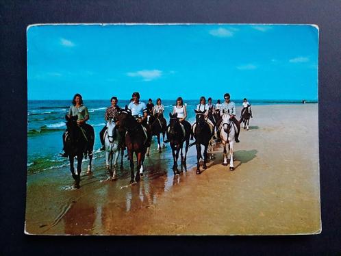 Ansichtkaart Paardrijden op het Strand  Paarden 1989 / 26.82, Verzamelen, Ansichtkaarten | Dieren, Gelopen, 1980 tot heden, Paard