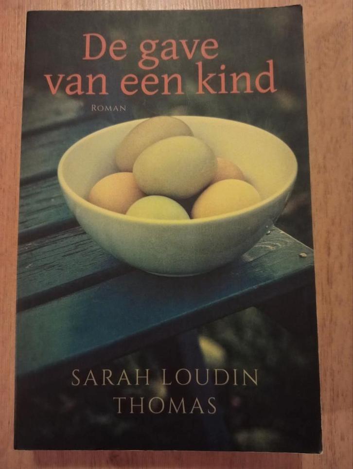 Sarah Loudin Thomas - De gave van een kind, Boeken, Romans, Gelezen, Ophalen of Verzenden
