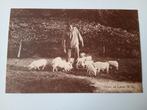 Laren NH Boerenleven Boer met Biggen, Verzamelen, Ansichtkaarten | Nederland, Ophalen of Verzenden, Voor 1920, Ongelopen, Noord-Holland