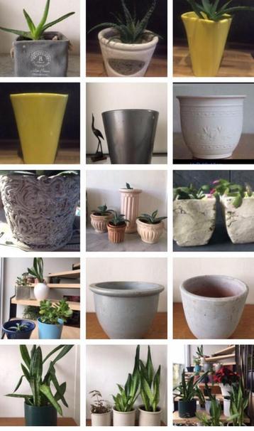 Vintage luxe jaren’50 terracotta bloempotten diverse beschikbaar voor biedingen