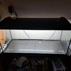 Compleet Eheim aquarium 180L + kast, filter & accessoires, Ophalen of Verzenden, Zo goed als nieuw, Leeg aquarium