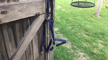 Blauw halster maat full beschikbaar voor biedingen