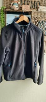 Fleece vest van gaastra zwart mt xl, Zwart, Ophalen of Verzenden, Gedragen, Maat 46/48 (XL) of groter