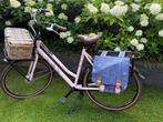 Gazelle damesfiets Miss Grace incl. extra's, Ophalen, Gebruikt, Versnellingen, 56 cm of meer