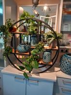 planten rek, Ophalen, Nieuw