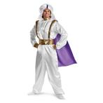 Disney Aladdin Prins Ali 1001 nacht Alladin Alladdin Aladin, Kleding | Heren, Carnavalskleding en Feestkleding, Disney, Gedragen