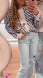 Tess V vest, Kleding | Dames, Truien en Vesten, Tess V, Ophalen, Zo goed als nieuw