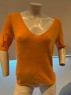 Not shy trui met cashmere maat L, Kleding | Dames, Not shy, Maat 42/44 (L), Oranje, Ophalen of Verzenden