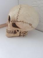 Spaarpot Skull Alien, Ophalen of Verzenden, Zo goed als nieuw